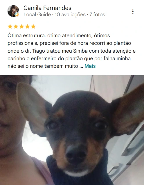 Avaliação real de tutor no Google