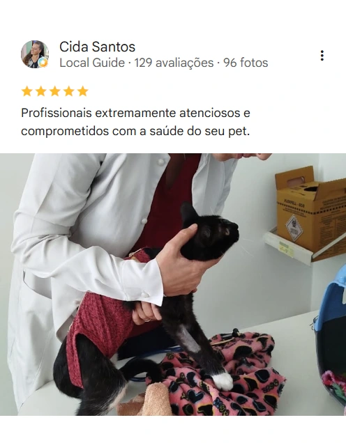 Avaliação real de tutor no Google