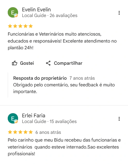 Avaliação real de tutor no Google